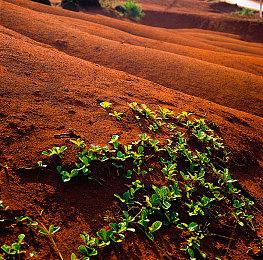 Havock引擎引入全新动态破坏技术 新技术视频欣赏